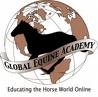 Global Equine Academy