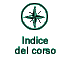 Indice del corso
